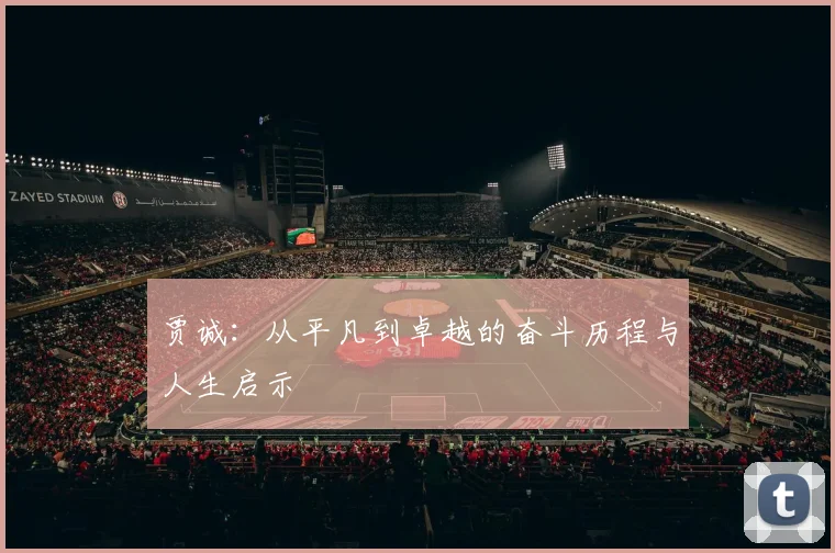 贾诚：从平凡到卓越的奋斗历程与人生启示