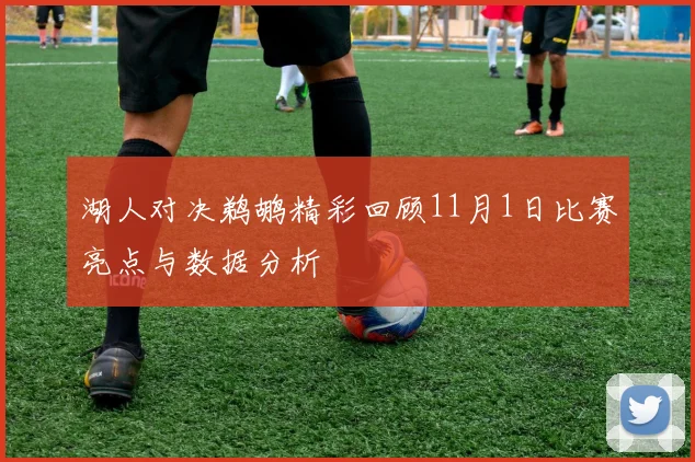 湖人对决鹈鹕精彩回顾11月1日比赛亮点与数据分析