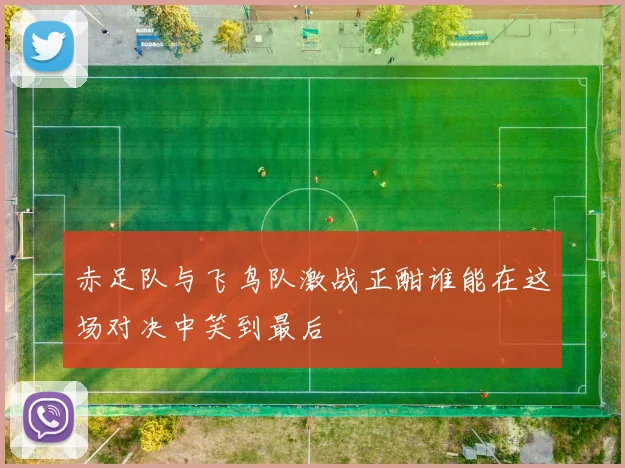 赤足队与飞鸟队激战正酣谁能在这场对决中笑到最后