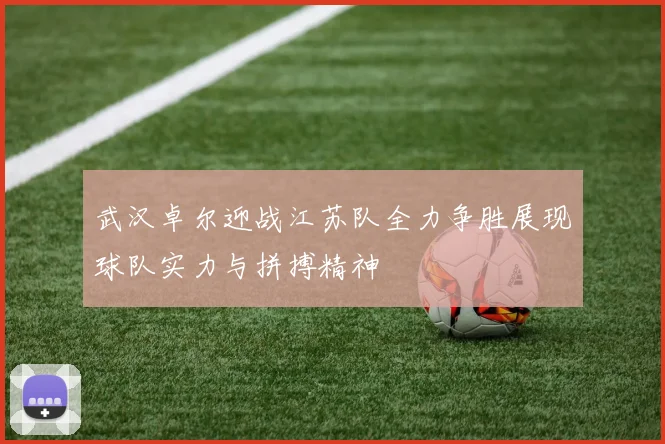 武汉卓尔迎战江苏队全力争胜展现球队实力与拼搏精神